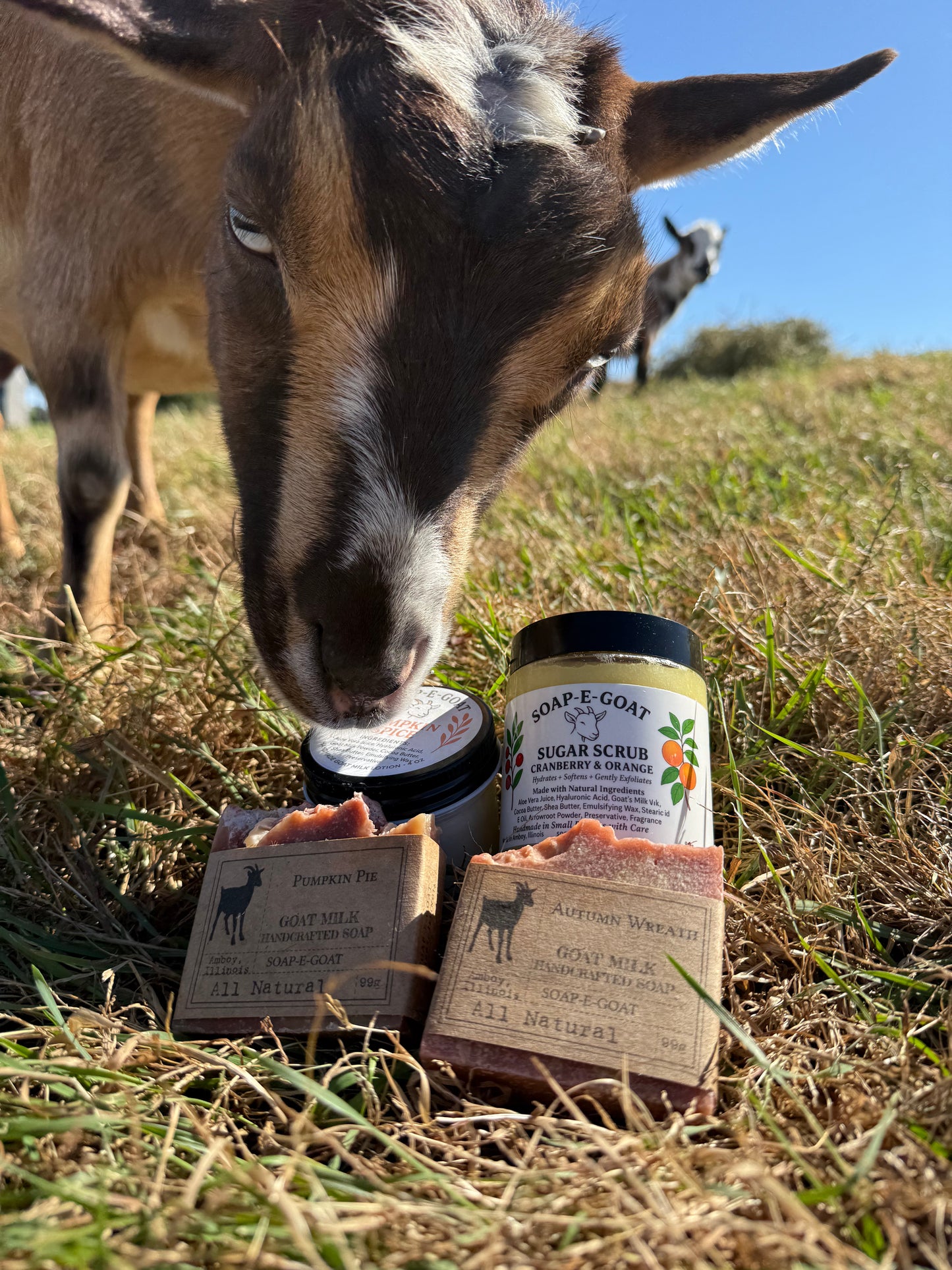 Goat Milk Monthly Subscription