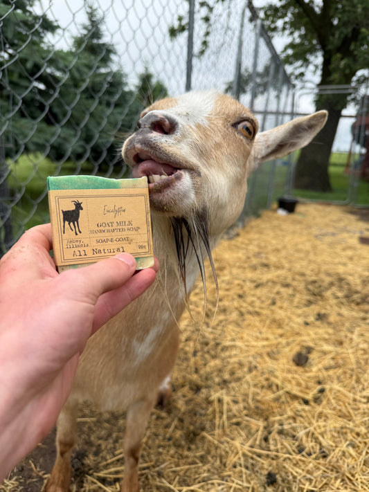 SOAP-E-GOAT Eucalyptus