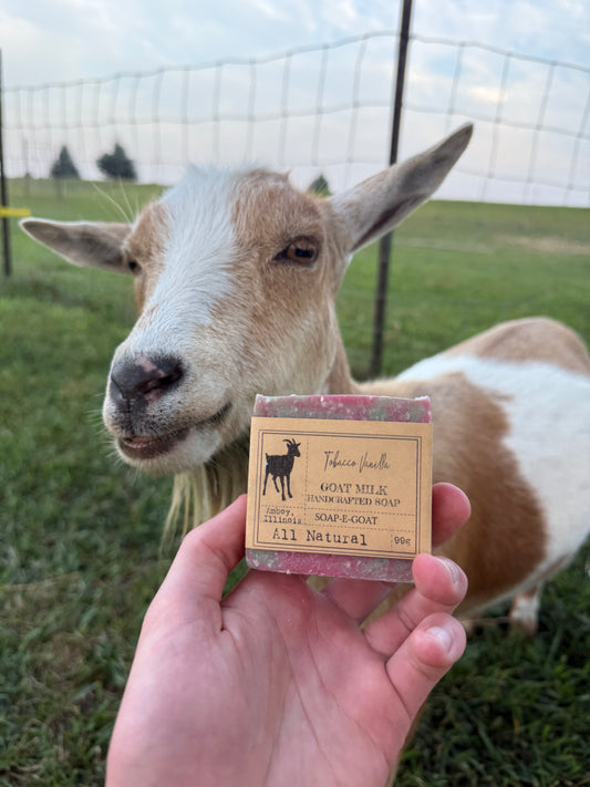 SOAP-E-GOAT Tobacco Vanilla