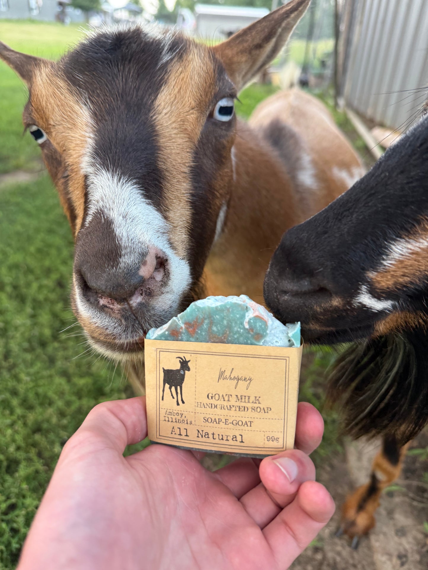 SOAP-E-GOAT Mahogany